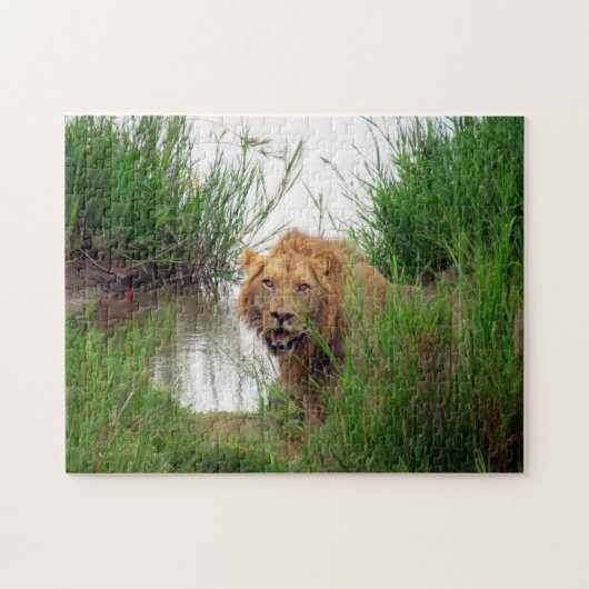 leeuw kijkt legpuzzel (Horizontaal)