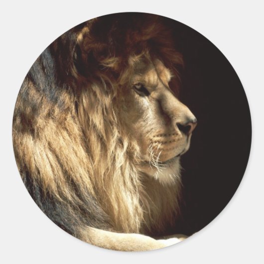 Leeuw - koning van de Oerwoud Ronde Sticker (Voorkant)