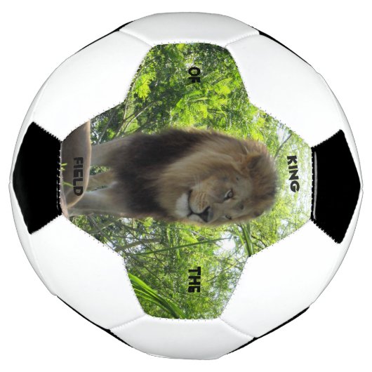 Leeuw - koning van het veld - Voetbal (Gedraaid)