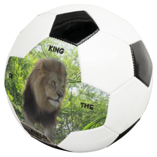 Leeuw - koning van het veld - Voetbal (Drie kwart)