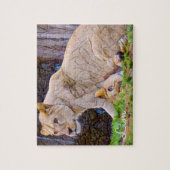 Leeuw [Legpuzzel: 110P] Legpuzzel (Verticaal)