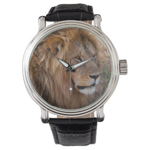 Leeuw Maasai Mara National Reserve, Kenia Horloge