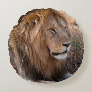 Leeuw Maasai Mara National Reserve, Kenia Rond Kussen