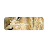 Leeuw met Dikke Mane Mailing Labels (Voorkant)