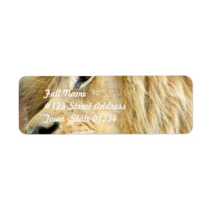 Leeuw met dikke mane mailinglabels etiket
