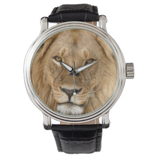 Leeuw Met Grote Manen Horloge
