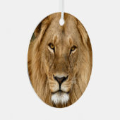 Leeuw met grote manen keramisch Ornament (Voorkant Rechts)