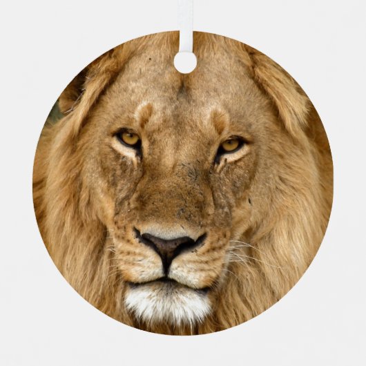 Leeuw met grote manen keramisch Ornament (Voorkant)