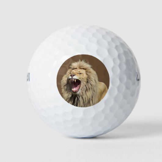 Leeuw met hoge spanning golfballen (Voorkant)