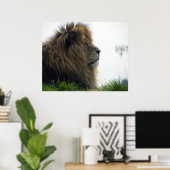 Leeuw met mooie manen poster (Thuiskantoor)