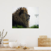 Leeuw met mooie manen poster (Keuken)