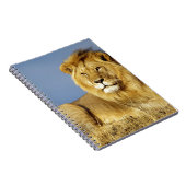 Leeuw Notitieboek (Rechterzijde)