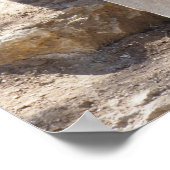 Leeuw op de rotsen poster (Hoek)