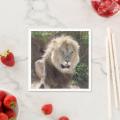 Leeuw op de rotsen servet (Insitu)