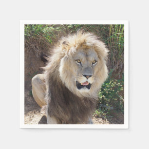 Leeuw op de rotsen servet