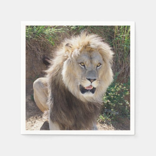 Leeuw op de rotsen servet (Voorkant)