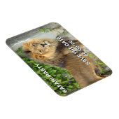 Leeuw op Maasai Mara 2 Save-the-Date Magneet (Rechterzijde)