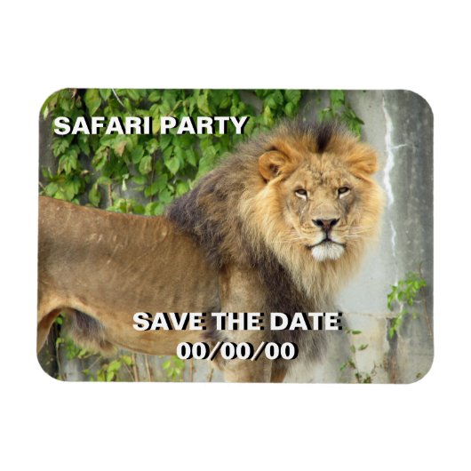 Leeuw op Maasai Mara 2 Save-the-Date Magneet (Horizontaal)