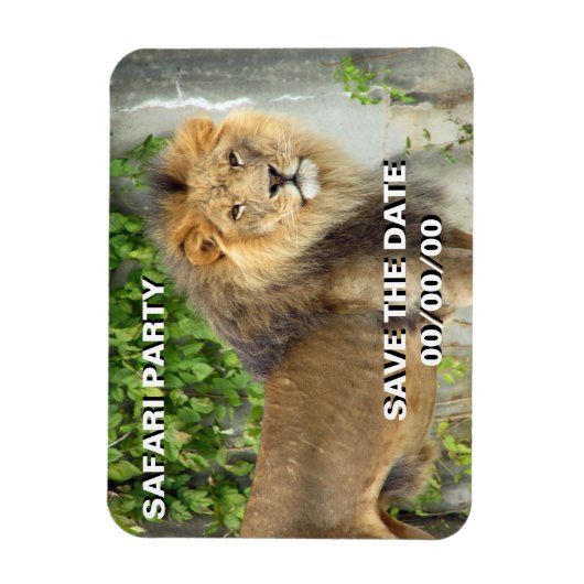 Leeuw op Maasai Mara 2 Save-the-Date Magneet (Verticaal)
