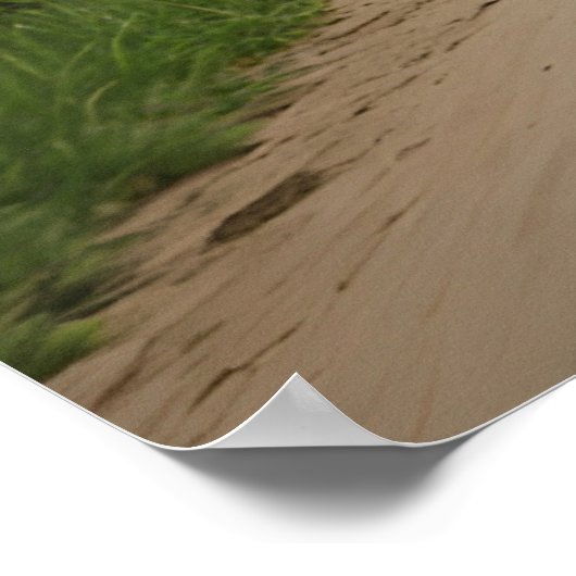 Leeuw op motor poster (Hoek)