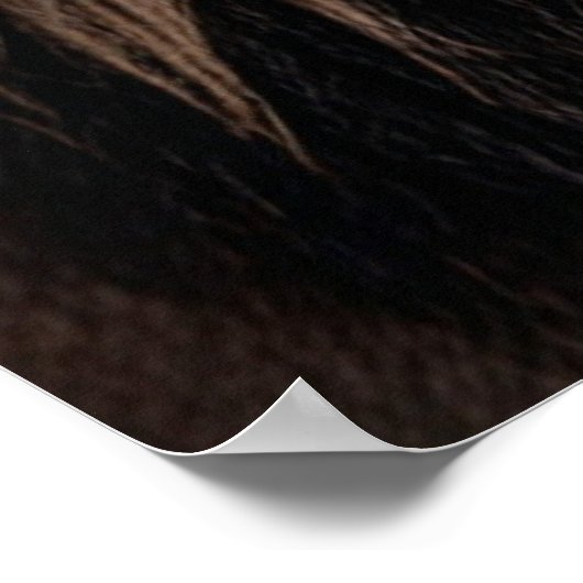 Leeuw op Times Square Poster (Hoek)