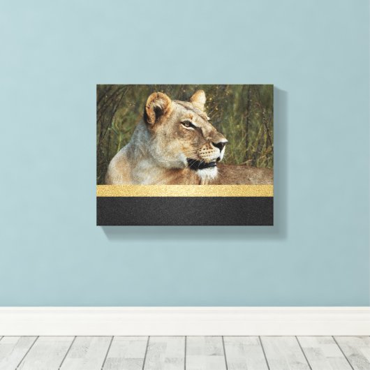 Leeuw panthera leo Okavango Delta Botswana Canvas Afdruk (Insitu (Houten vloer))