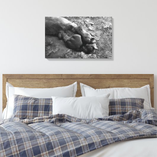 Leeuw Paw Muur Print Canvas (Insitu (Slaapkamer))