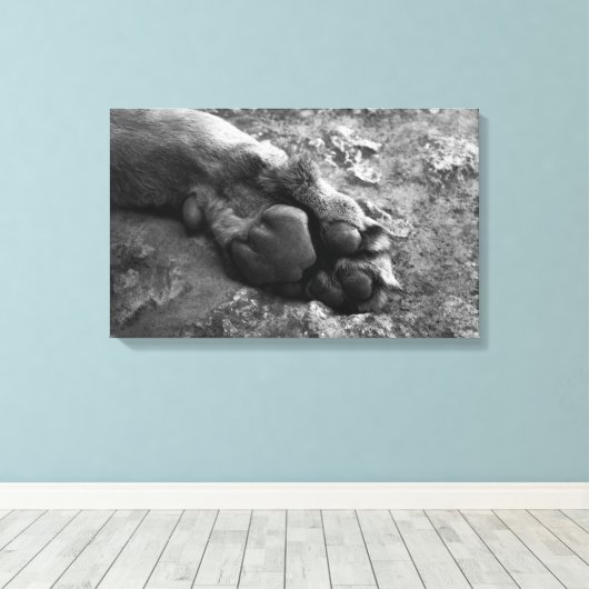 Leeuw Paw Muur Print Canvas (Insitu (Houten vloer))