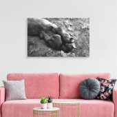 Leeuw Paw Muur Print Canvas (Insitu (Woonkamer))