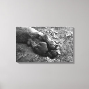 Leeuw Paw Muur Print Canvas