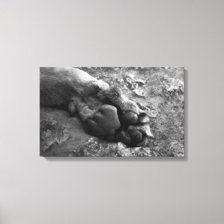 Leeuw Paw Muur Print Canvas