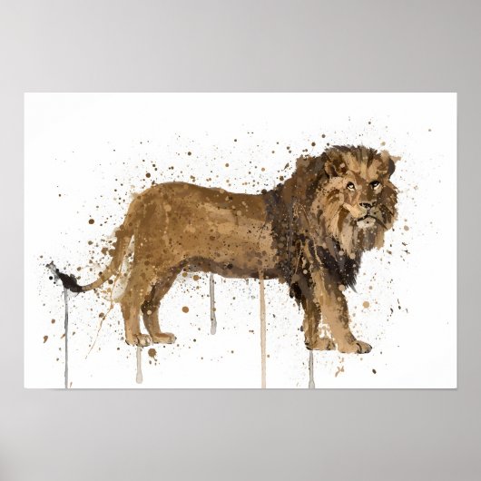 Leeuw Poster (Voorkant)