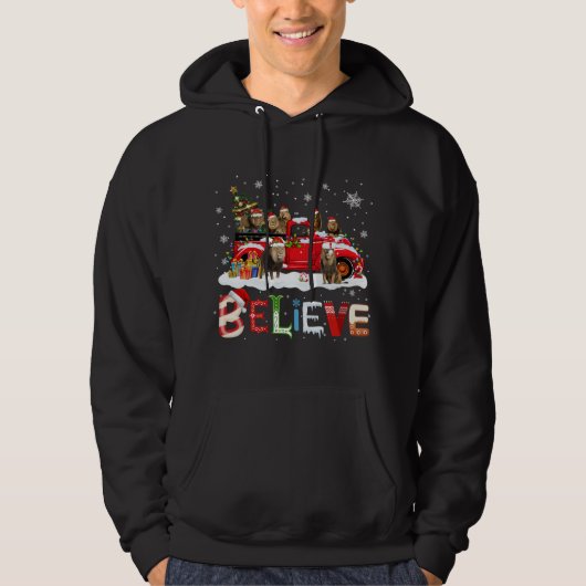Leeuw Rijden Rode Vrachtwagen Kerstboom Geloof Ker Hoodie (Voorkant)