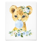 Leeuw, Safari, Blauwe Bubble Gum, Jongenskwekerij Foto Afdruk (Voorkant)