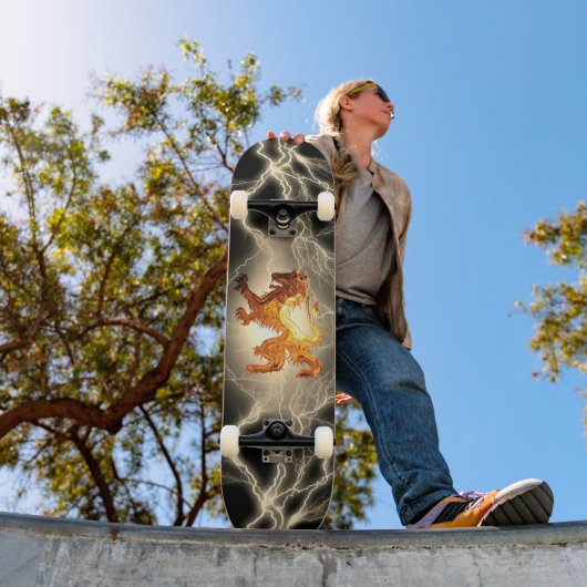 Leeuw Skateboard (Buiten 1)