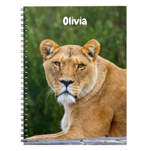 Leeuw Spiraal notebook Notitieboek (Voorkant)