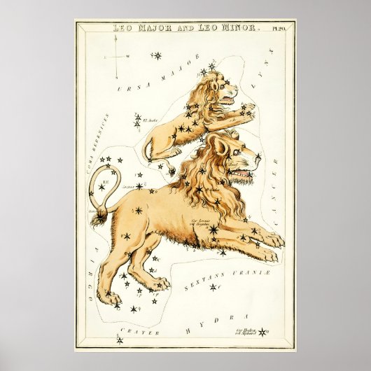 Leeuw Sterrenbeeld Kunstprint Antiek Poster (Voorkant)