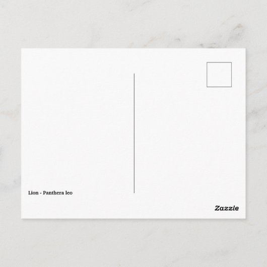 Leeuw van het gezicht die op gras loopt briefkaart (Achterkant)