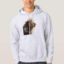 Leeuw van Zion hoodie
