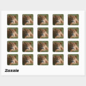 Leeuw Vierkante Sticker (Vel)