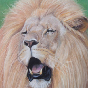 leeuw voor de grote kattenliefhebber heupfles