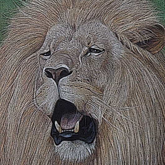 leeuw voor de grote kattenliefhebber heupfles