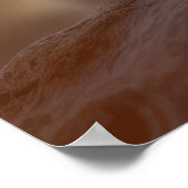 Leeuw welp wild dier rustig vredig poster (Hoek)