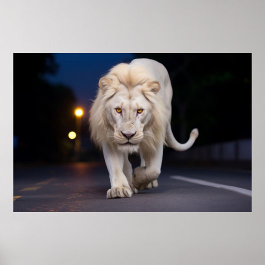 Leeuw Wildlife Dier Op Straat Buiten Poster (Voorkant)