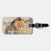 Leeuw wildlife Safari dierreizen gepersonaliseerd Bagagelabel (Voorkant horizontaal)