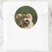 Leeuw wildlife safari stickers (Tas)
