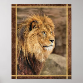 Leeuw Zijwaarts Fotograaf Poster