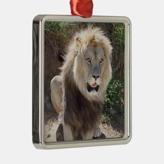 Leeuw zittend op de rotsen metalen ornament (Rechts)