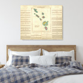 Leeuward Islands Canvas Afdruk (Insitu (Slaapkamer))