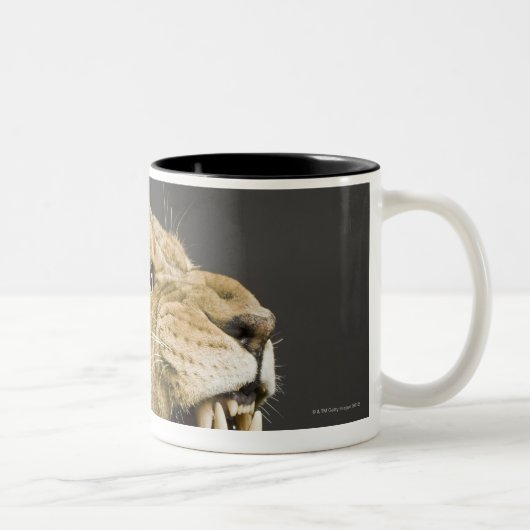 Leeuwen 2 tweekleurige koffiemok (Rechts)